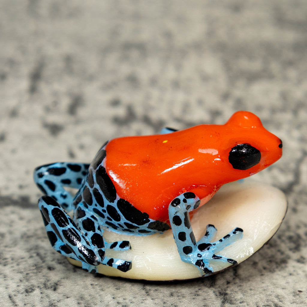Red Black And Blue Poison Dart Frog Tagua Carving