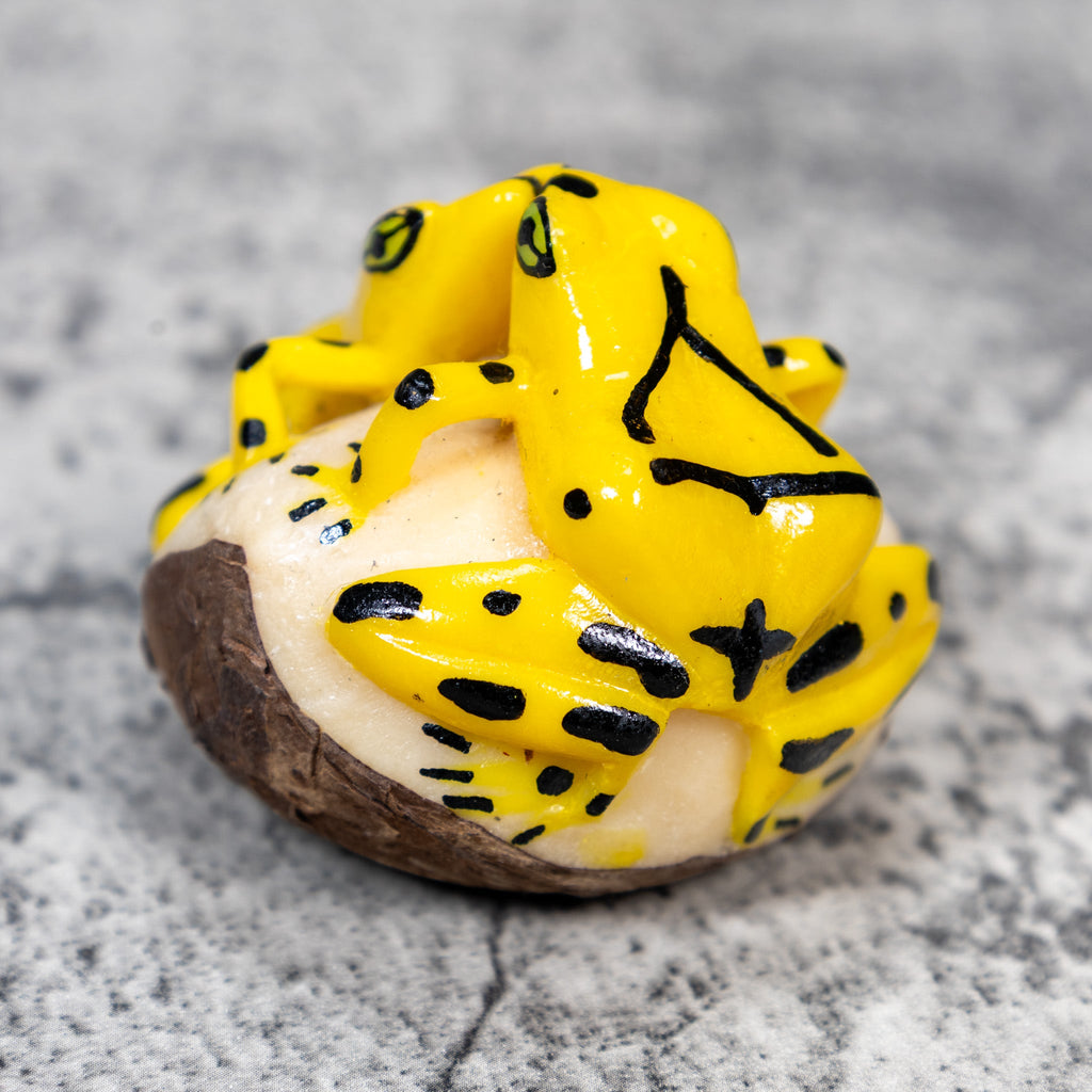 Double Golden Kissing Frog Tagua Carving