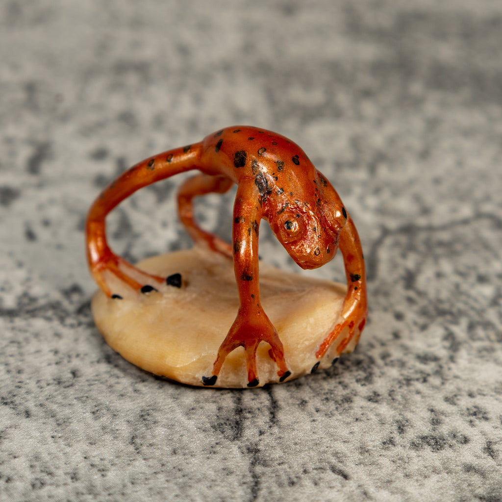 Super Weird Fully Undercut Frog Tagua Carving
