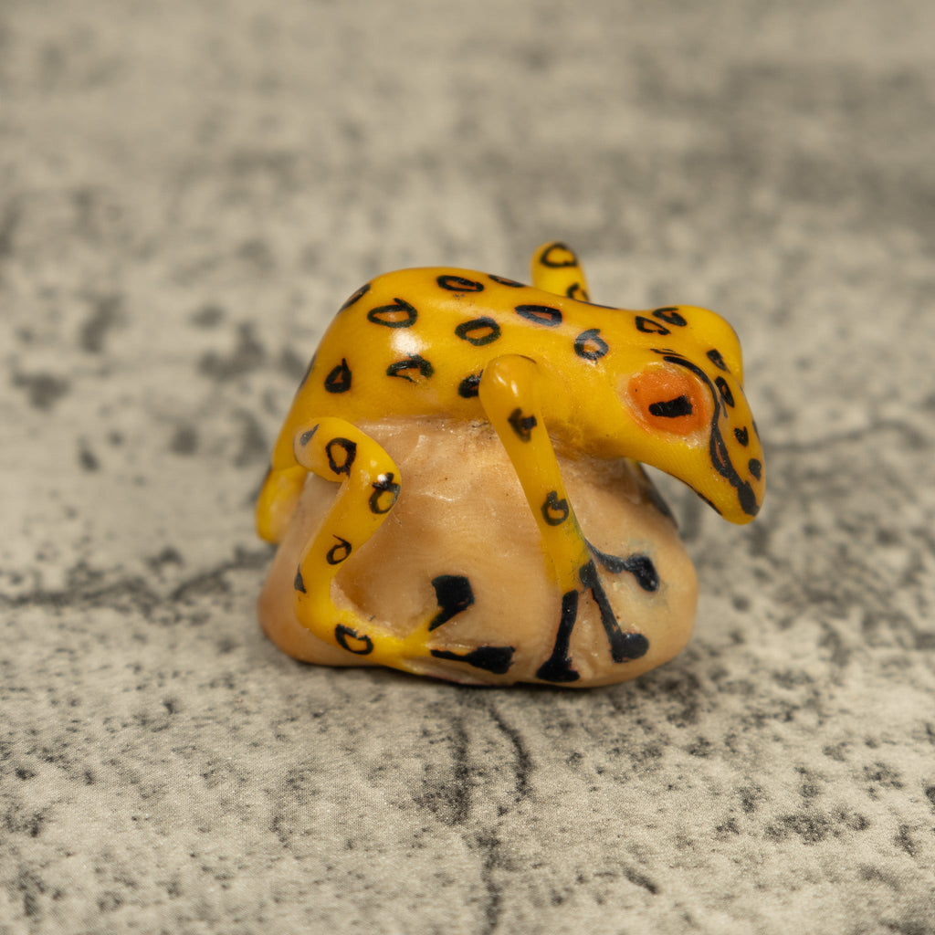 Vintage Golden Frog Tagua Carving