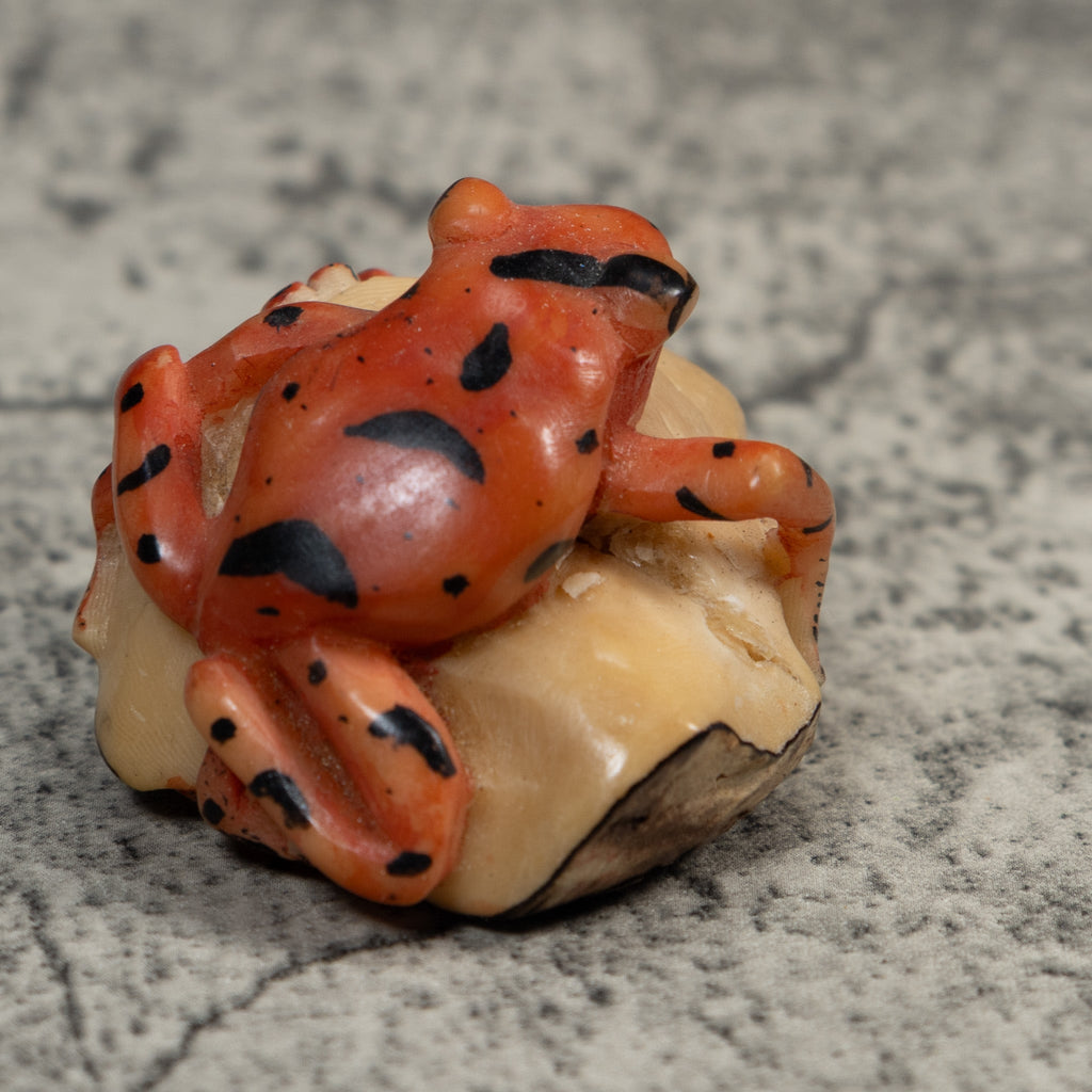 Vintage Orange And Black Anteater Tagua Carving