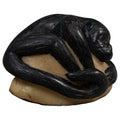 Black Howler Monkey Tagua Carving