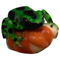 Black Geen And Orange Poison Dart Frog Tagua Carving