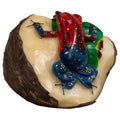 Red Blue And Green Poison Dart Frog Tagua Carving