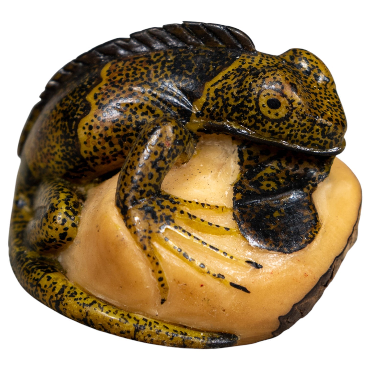 Brown And Black Iguana Lizard Tagua Carving
