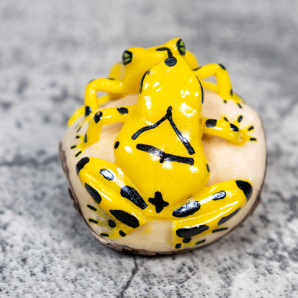 Double Golden Kissing Frog Tagua Carving