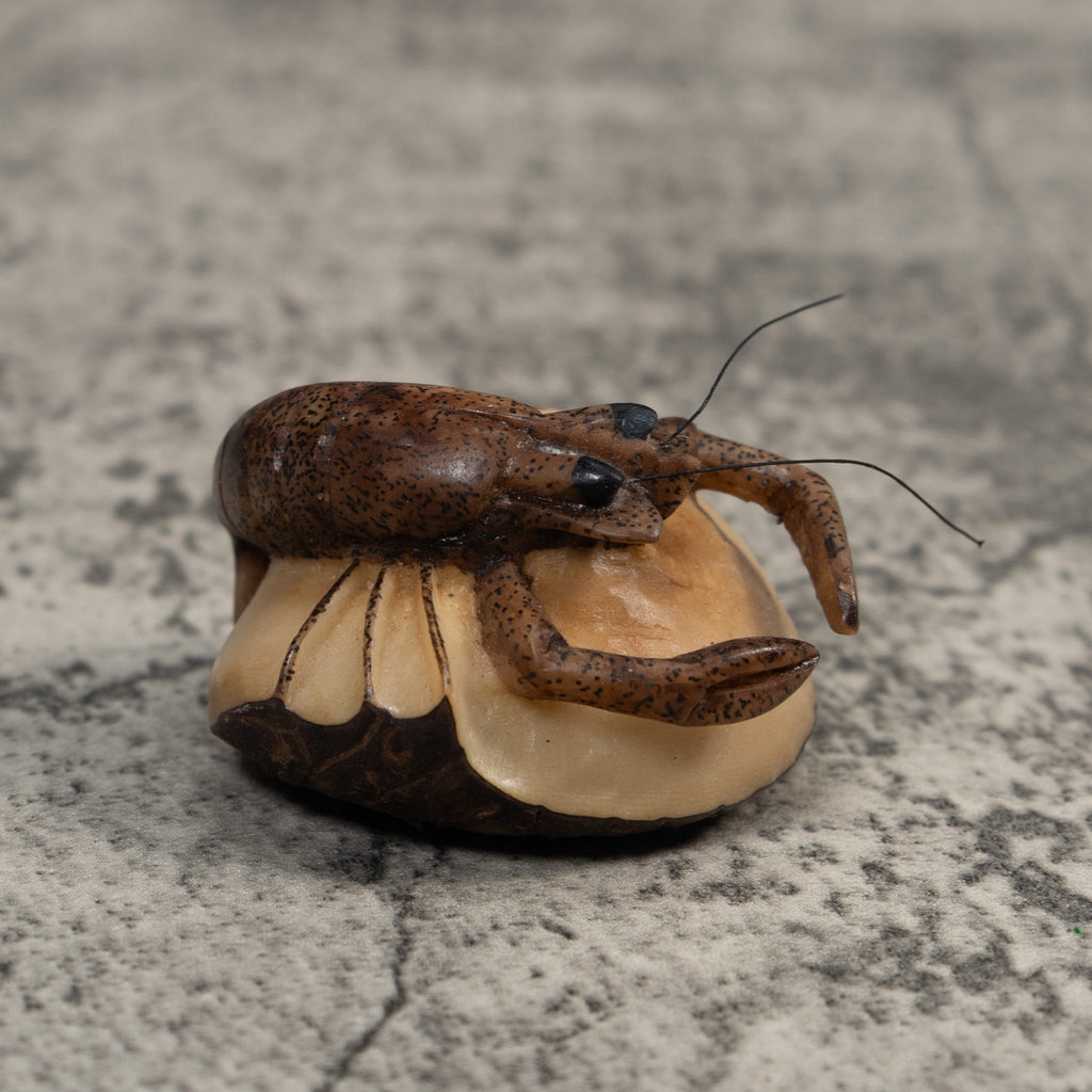 Vintage Brown Shrimp Tagua Carving
