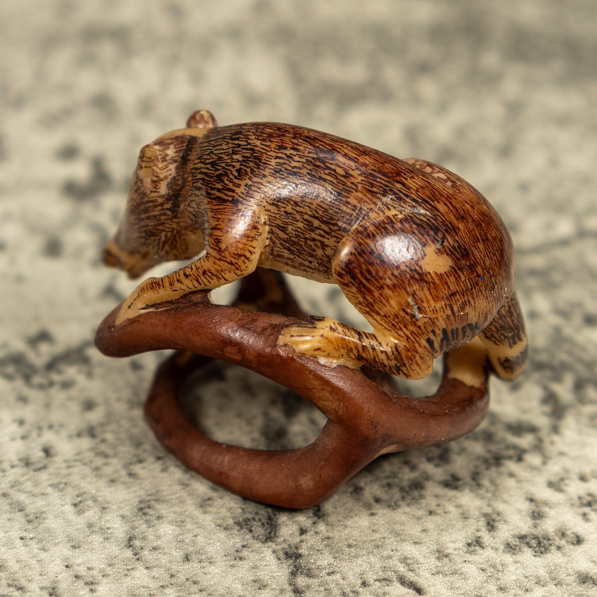 Coatimundi Tagua Carving