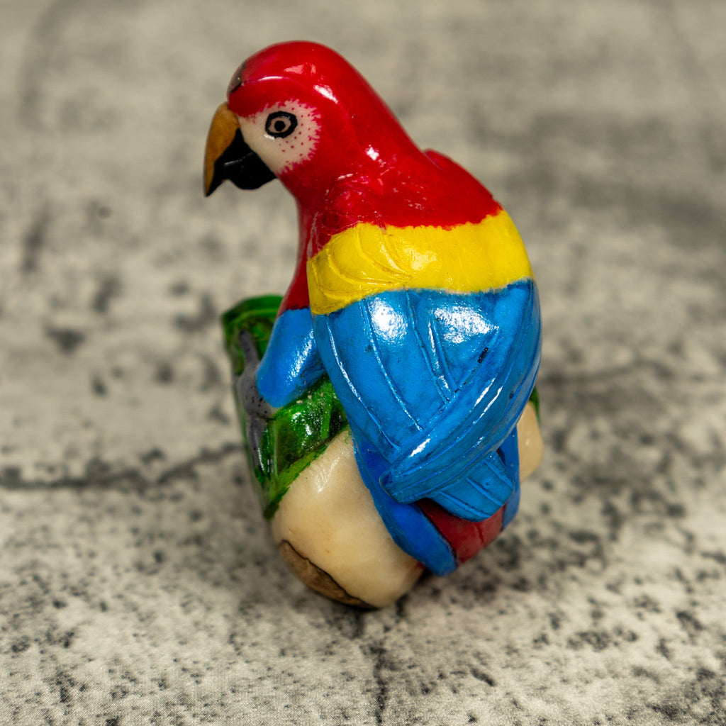 Red Yellow And Blue Macaw Parrot Tagua Carving