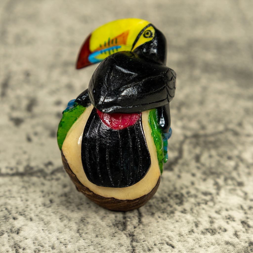 Toucan Parrot Bird Tagua Carving