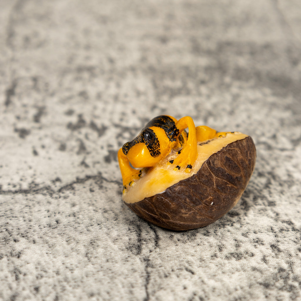 Gold And Black Poison Dart Frog Tagua Carving