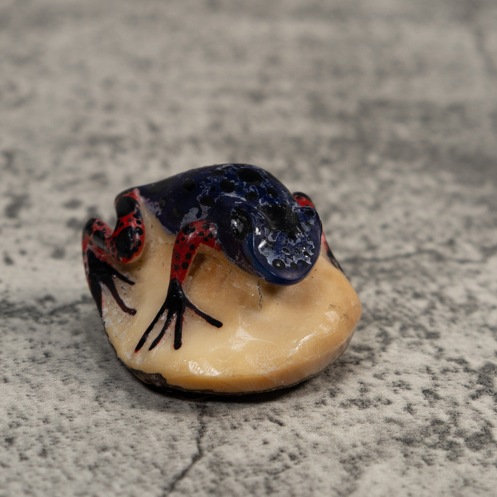 Red And Blue Poison Dart Frog Tagua Carving