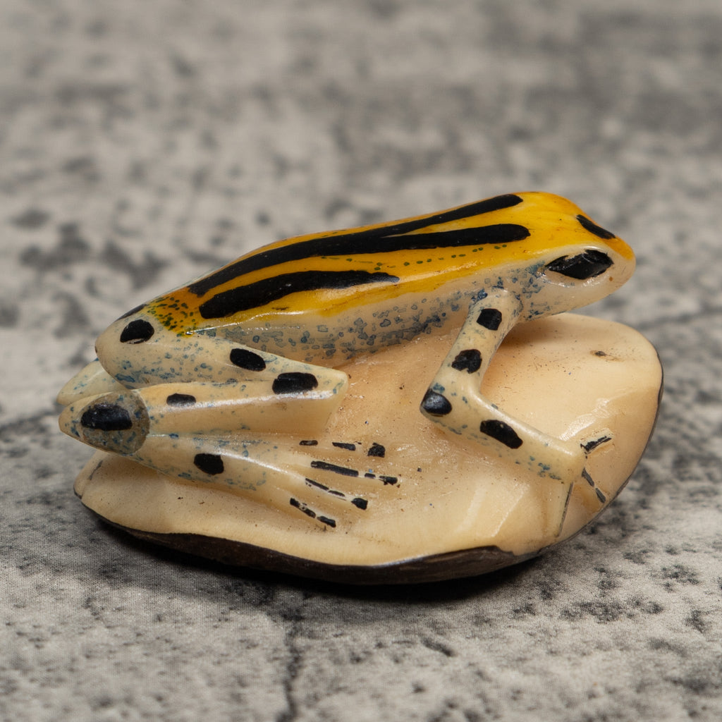 Gold Black And Blue Poison Dart Frog Tagua Carving