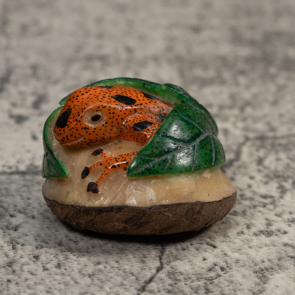 Vintage Orange Black And Green Frog Tagua Carving