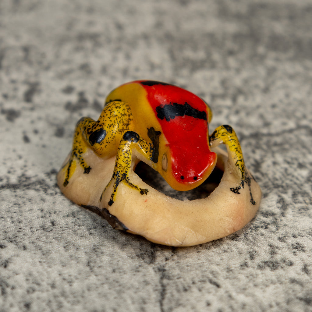 Vintage Poison Dart Frog Tagua Carving