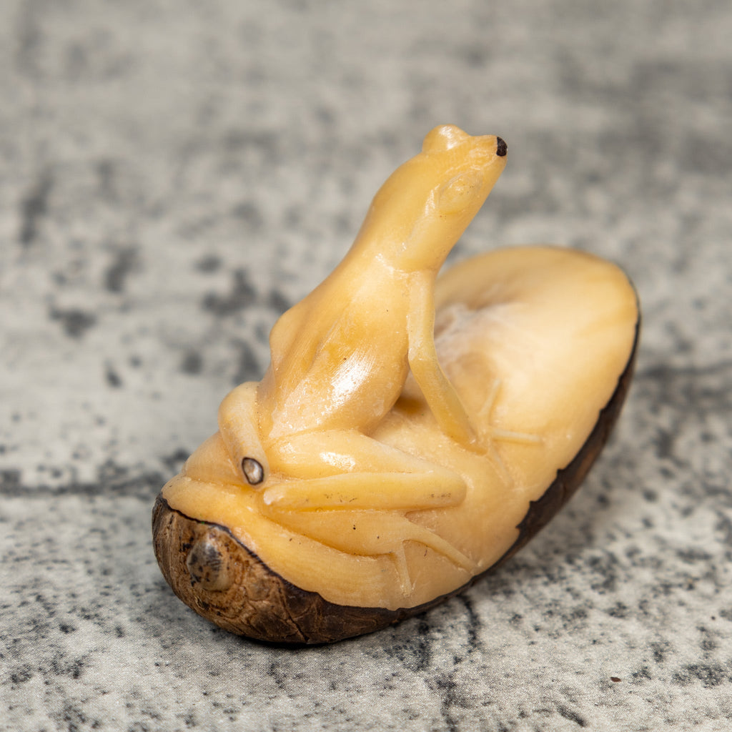 Natural White Frog Tagua Carving