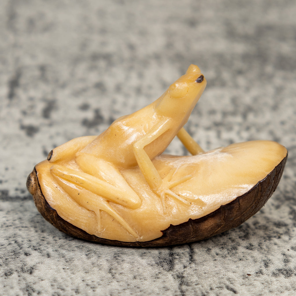 Natural White Frog Tagua Carving