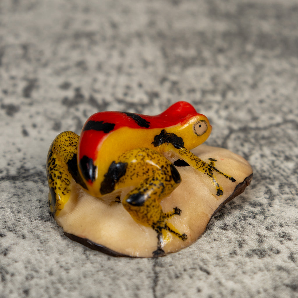 Vintage Poison Dart Frog Tagua Carving