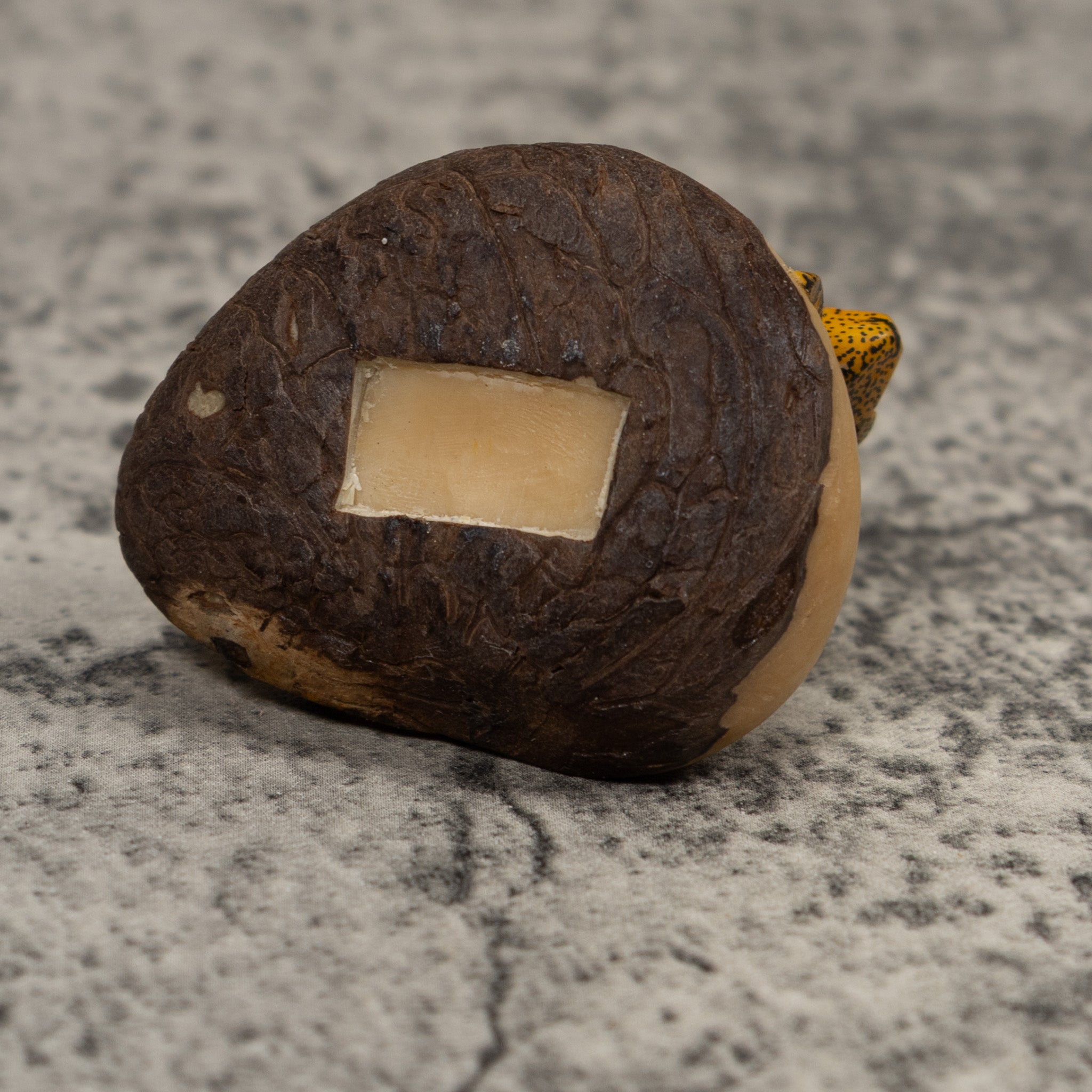 Vintage Gold And Black FrogTagua Carving