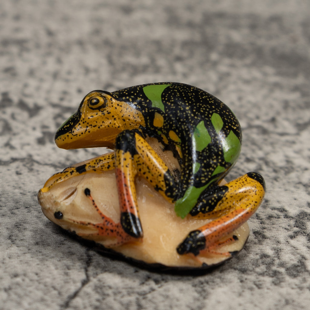 Vintage Gold Black And Green Frog Tagua Carving