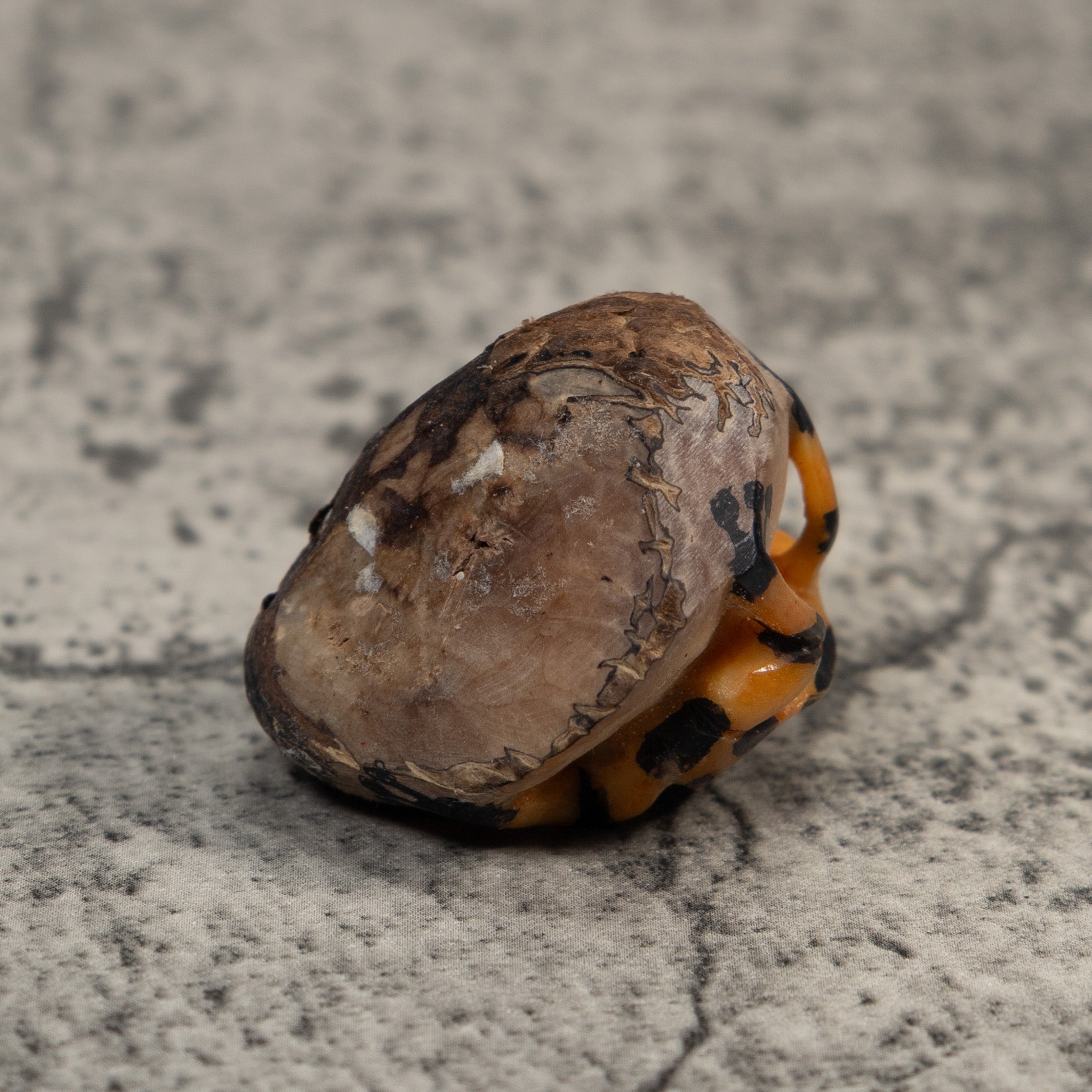 Vintage Gold And Black Poison Dart Frog Tagua Carving