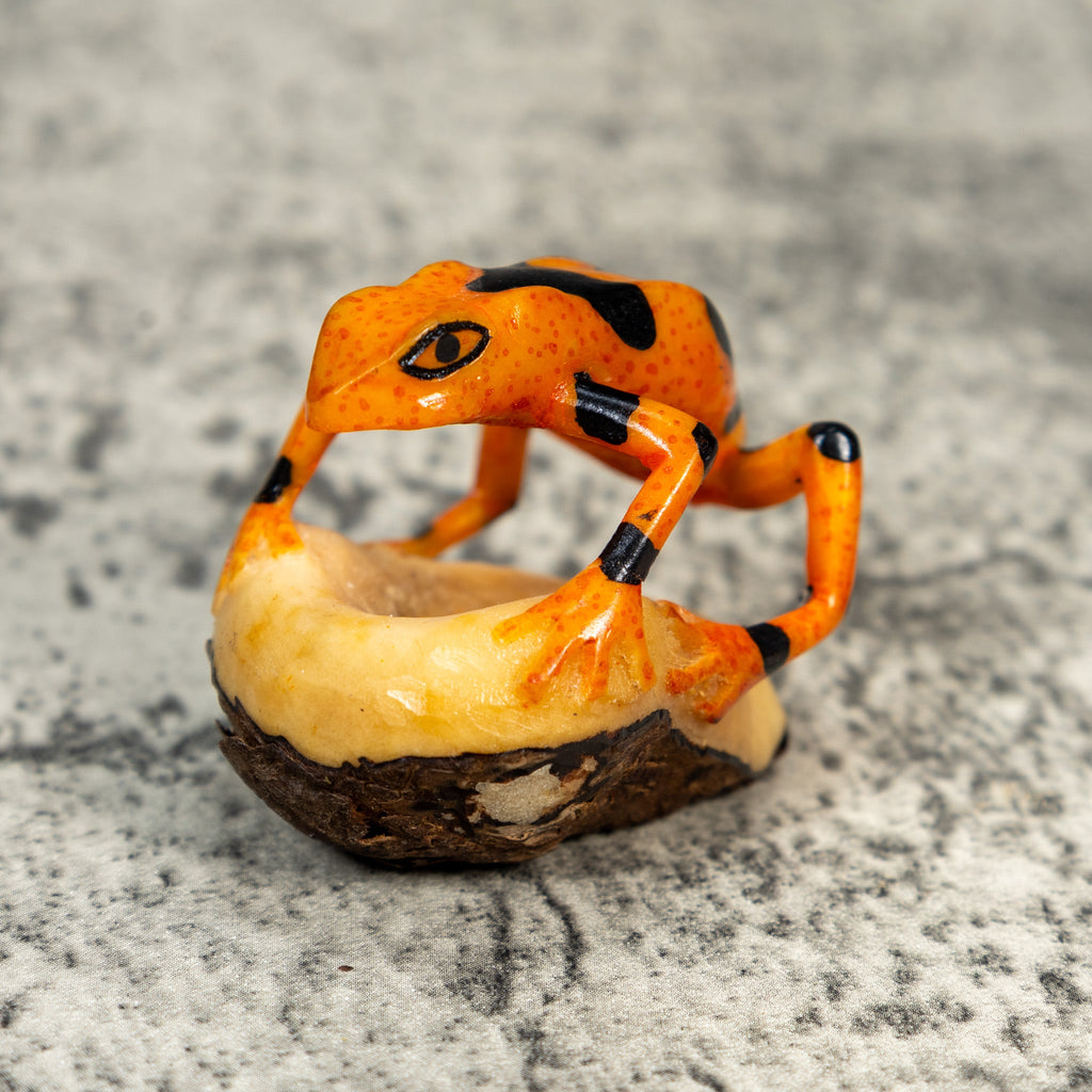 Fully Undercut Poison Dart Frog Tagua Carving