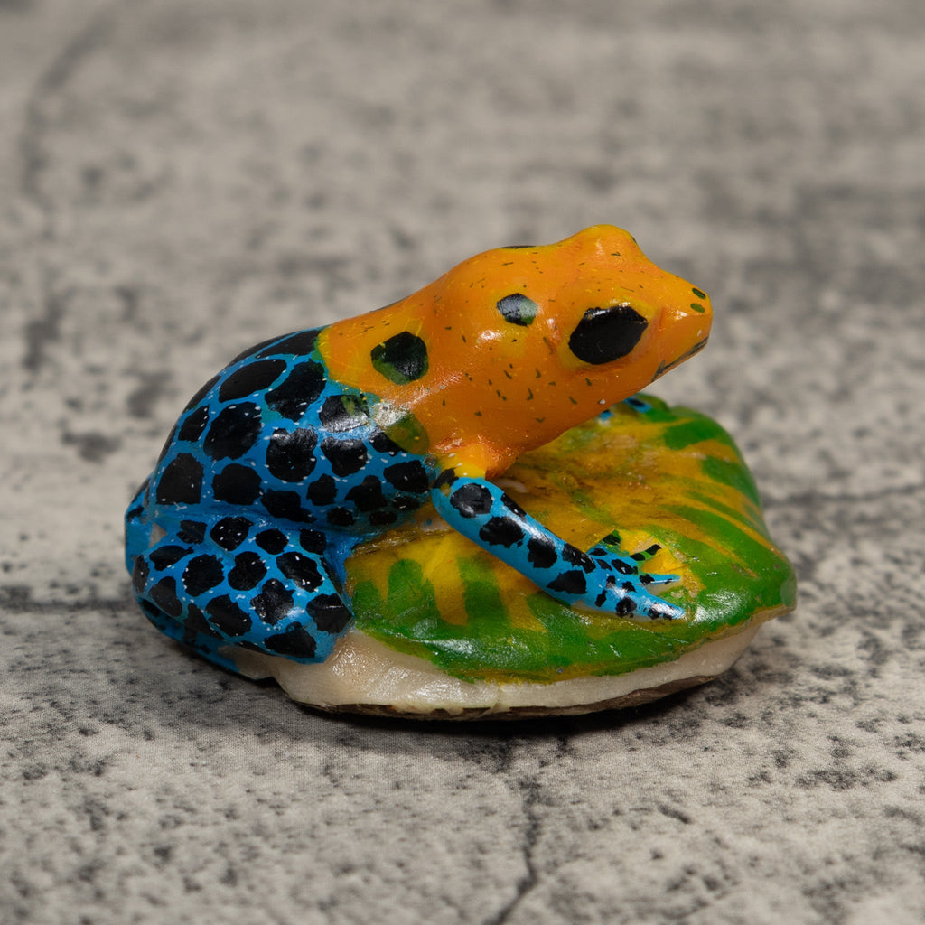 Blue Orange And Black Poison Dart Frog Tagua Carving