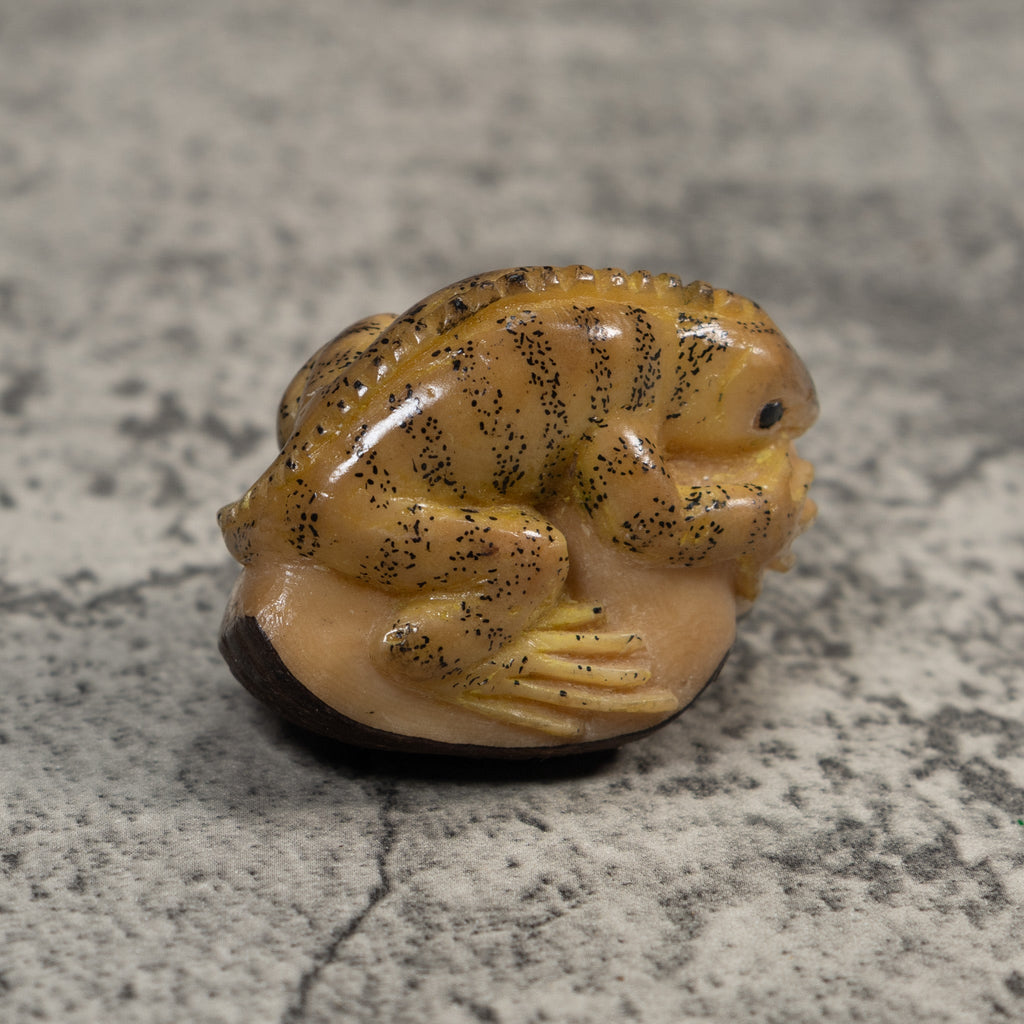 Vintage Brown And Tan Gecko Lizard Tagua Carving