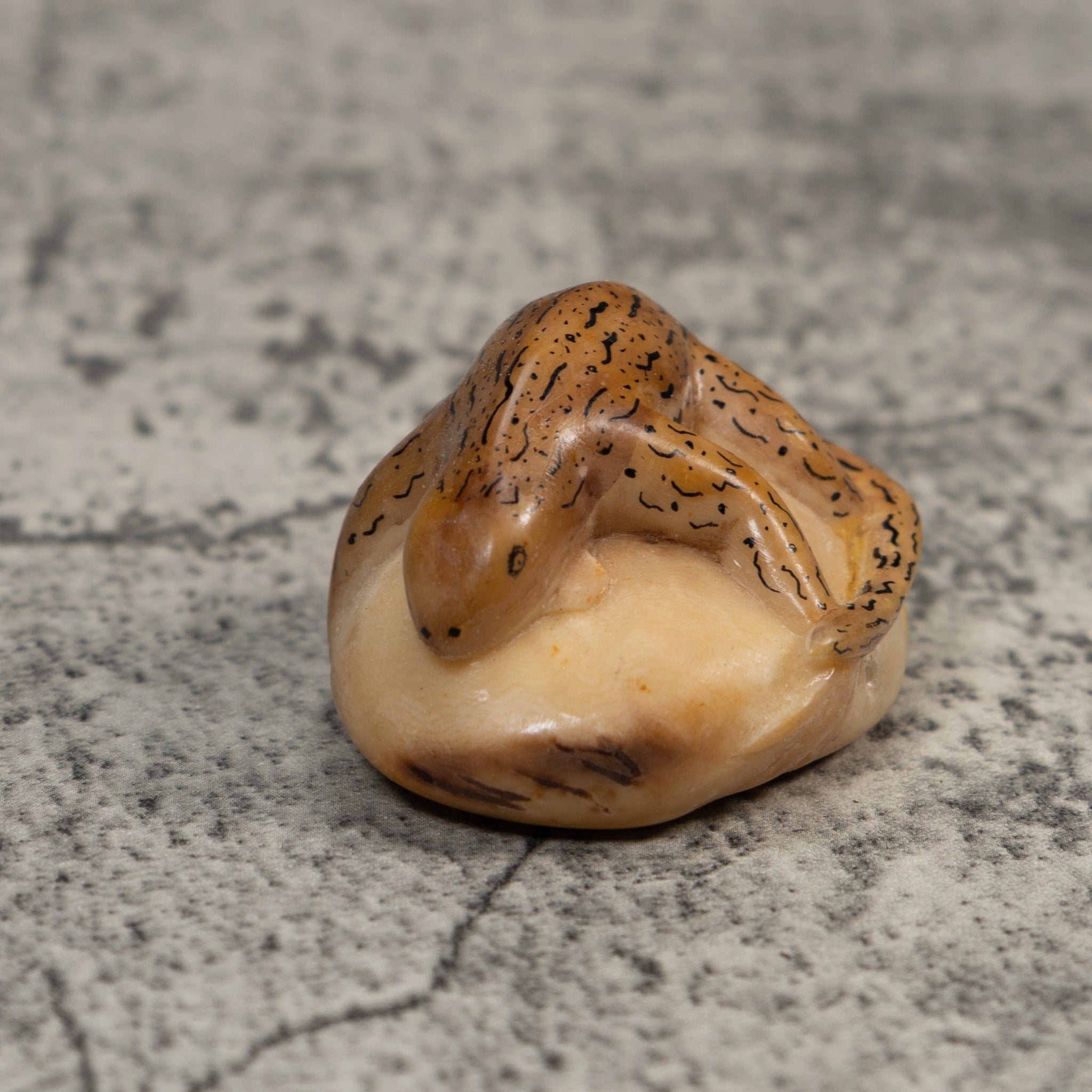 Vintage Brown And Black Gecko Lizard Tagua Carving