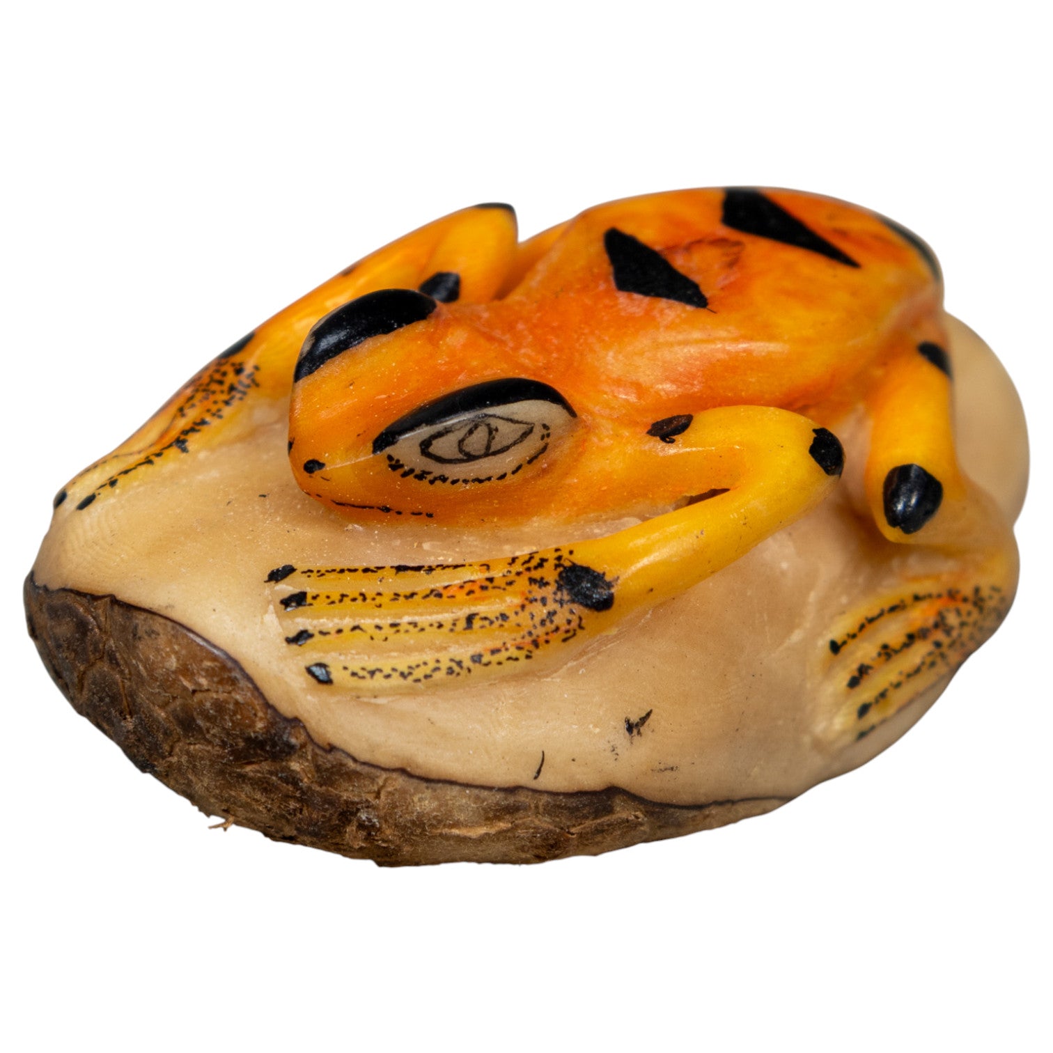 Orange And Black Frog Tagua Carving