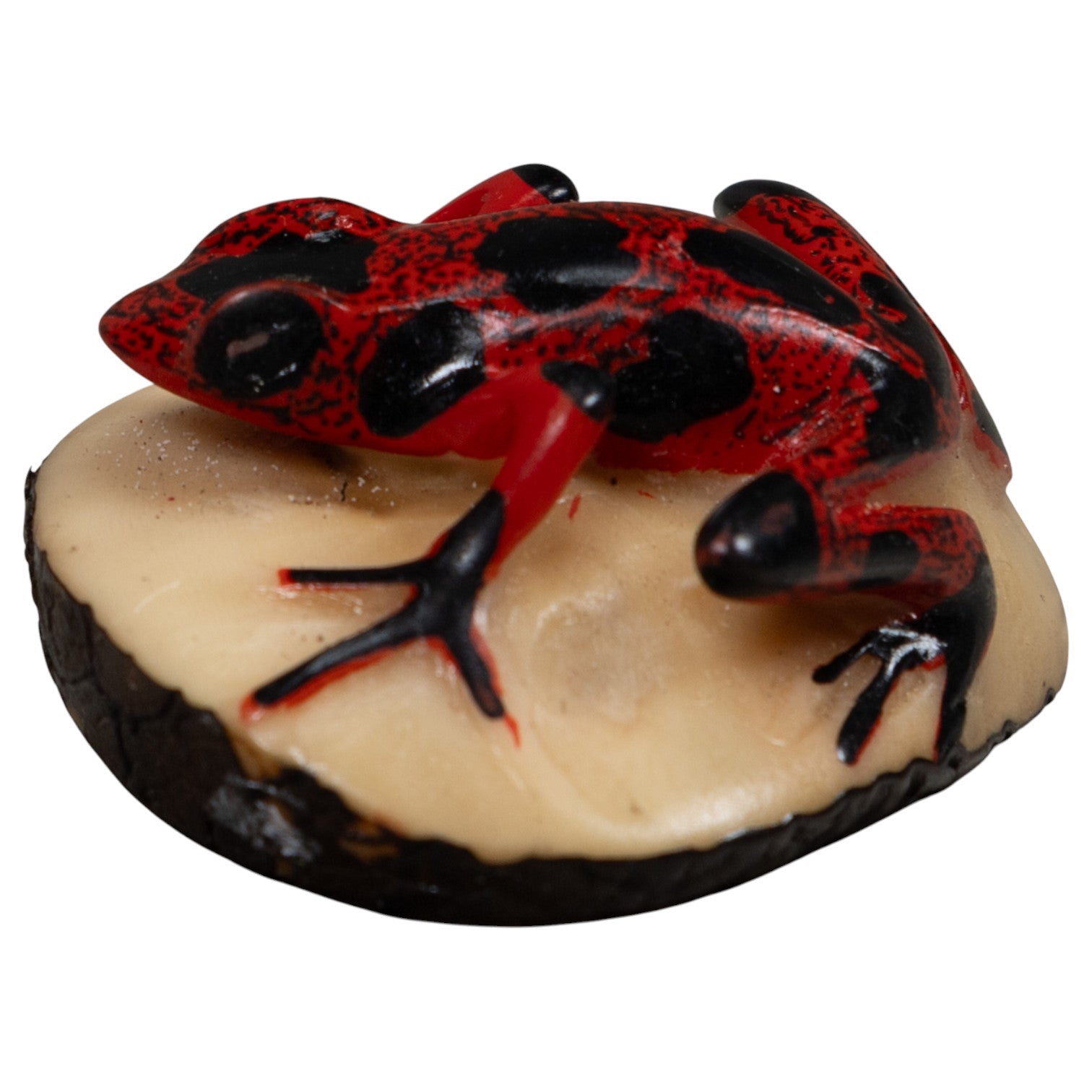 Vintage Poison Dart Frog Tagua Carving