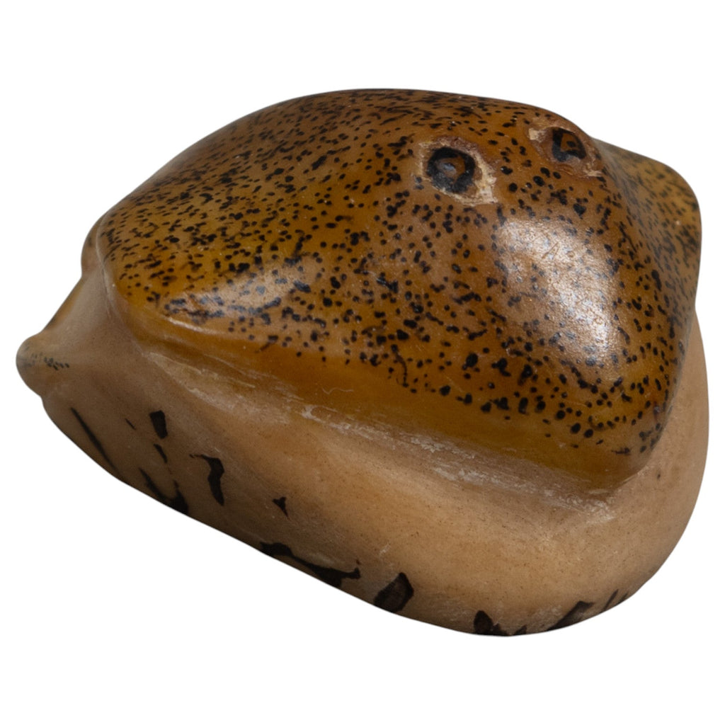 Speckled Ocean Stingray Tagua Carving