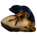 Vintage Blue And Orange Poison Dart Frog Tagua Carving