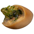 Vintage Iguana Lizard Emering From Egg Tagua Carving