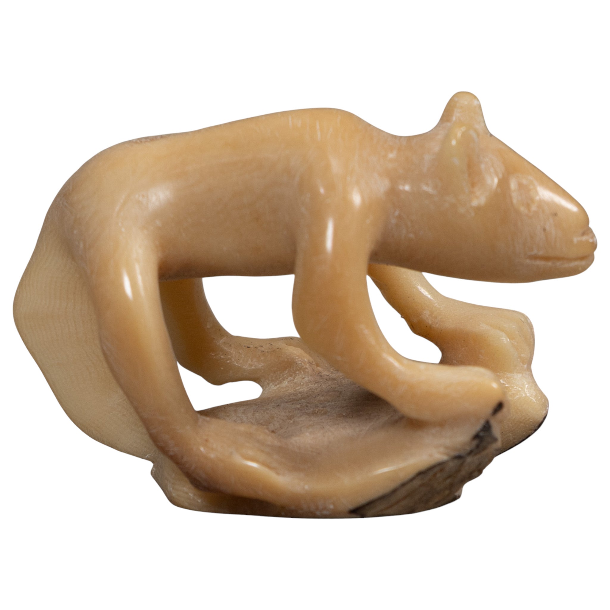 Vintage White Jungle Animal Tagua Carving