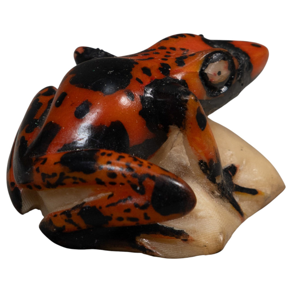 Vintage Black And Red Poison Dart Frog Tagua Carving