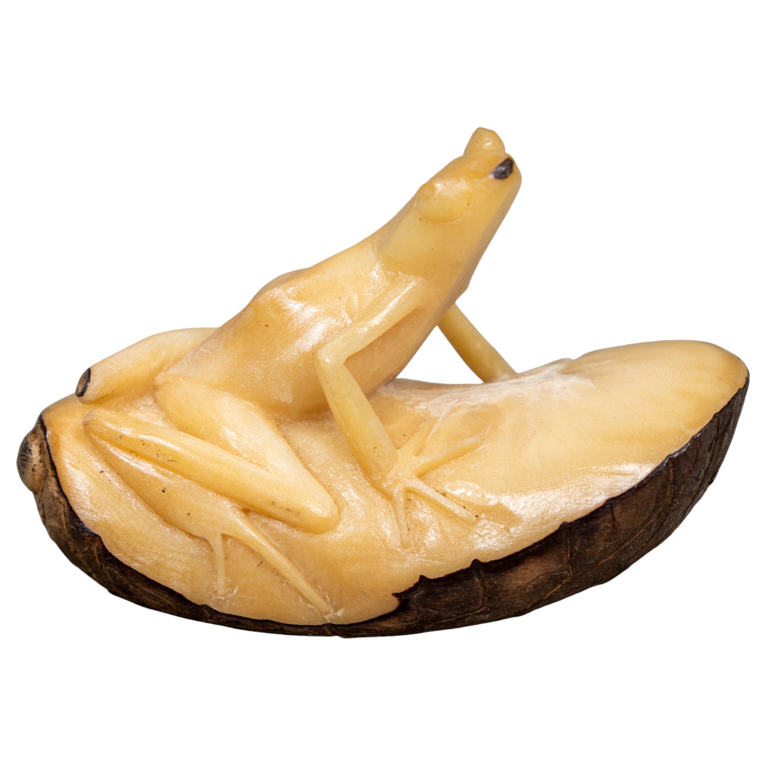 Natural White Frog Tagua Carving