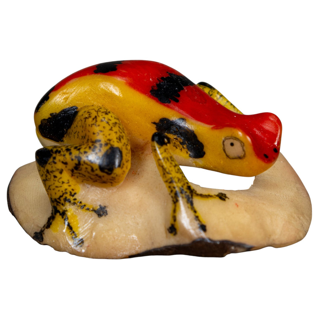 Vintage Poison Dart Frog Tagua Carving