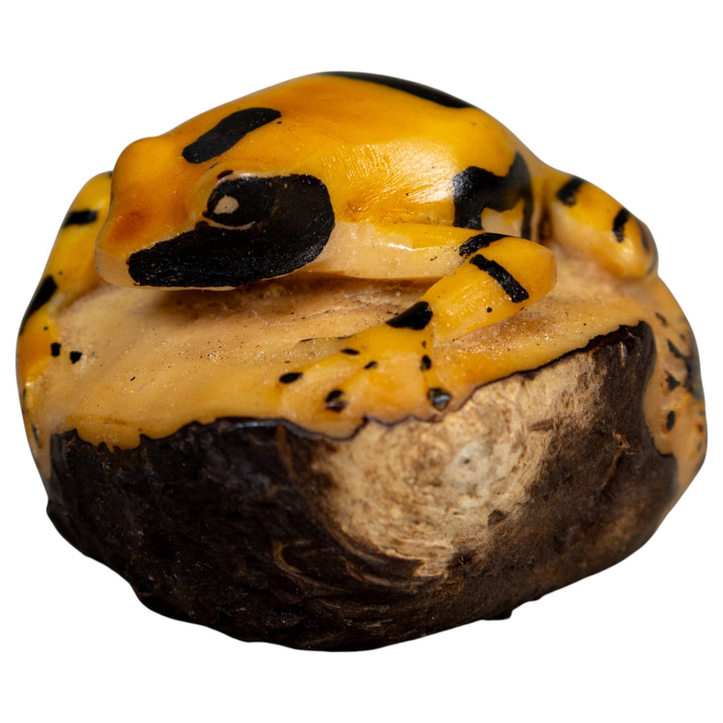 Vintage Black And Gold Poison Dart Frog Tagua Carving