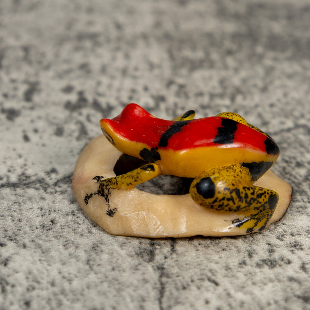 Vintage Poison Dart Frog Tagua Carving