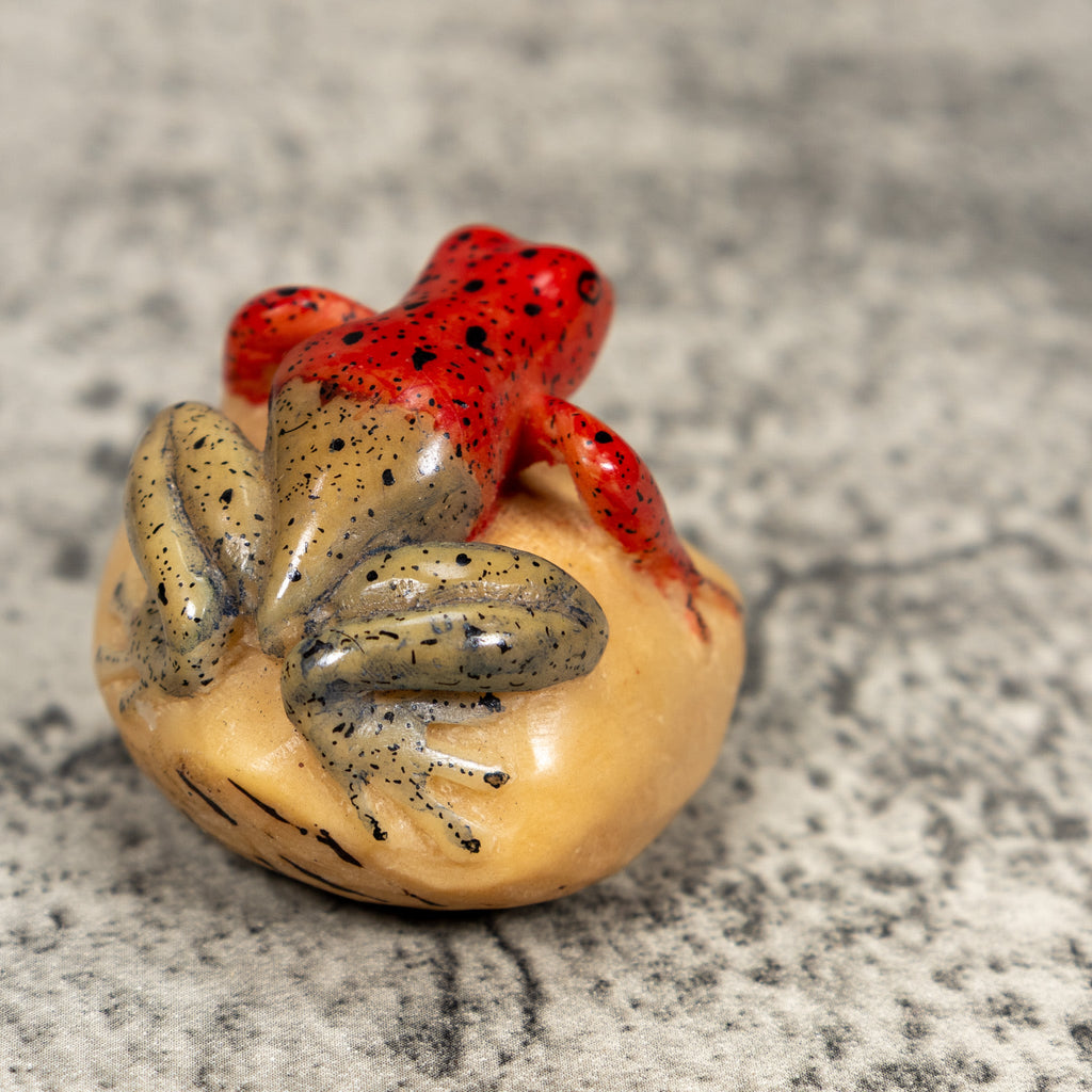 Blue And Red Poison Dart Frog Tagua Carving