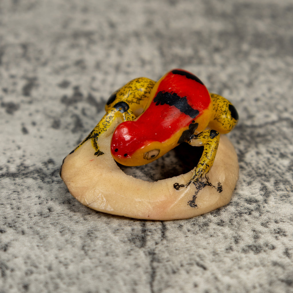Vintage Poison Dart Frog Tagua Carving