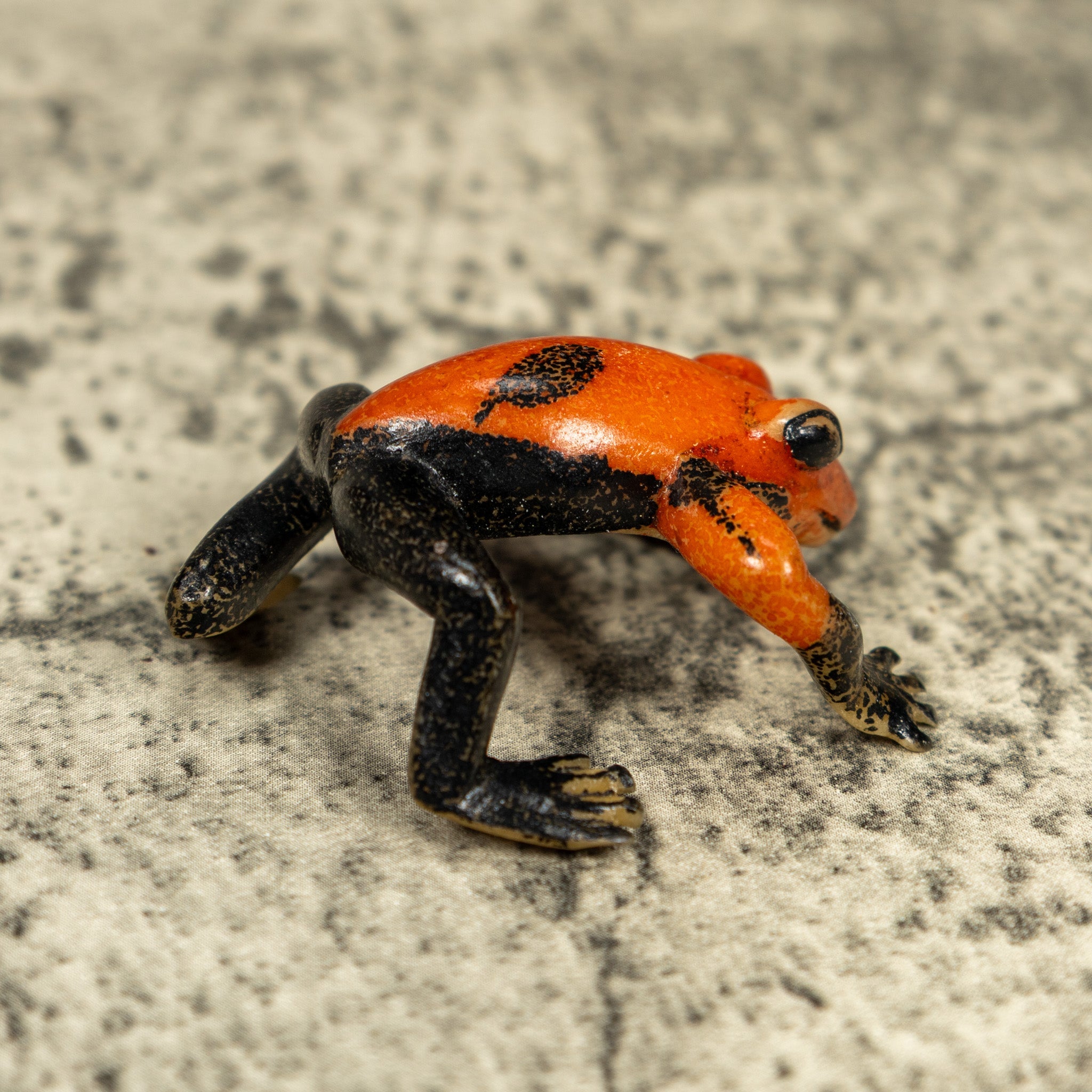 Free Standing Black And Orange Frog Tagua Carving