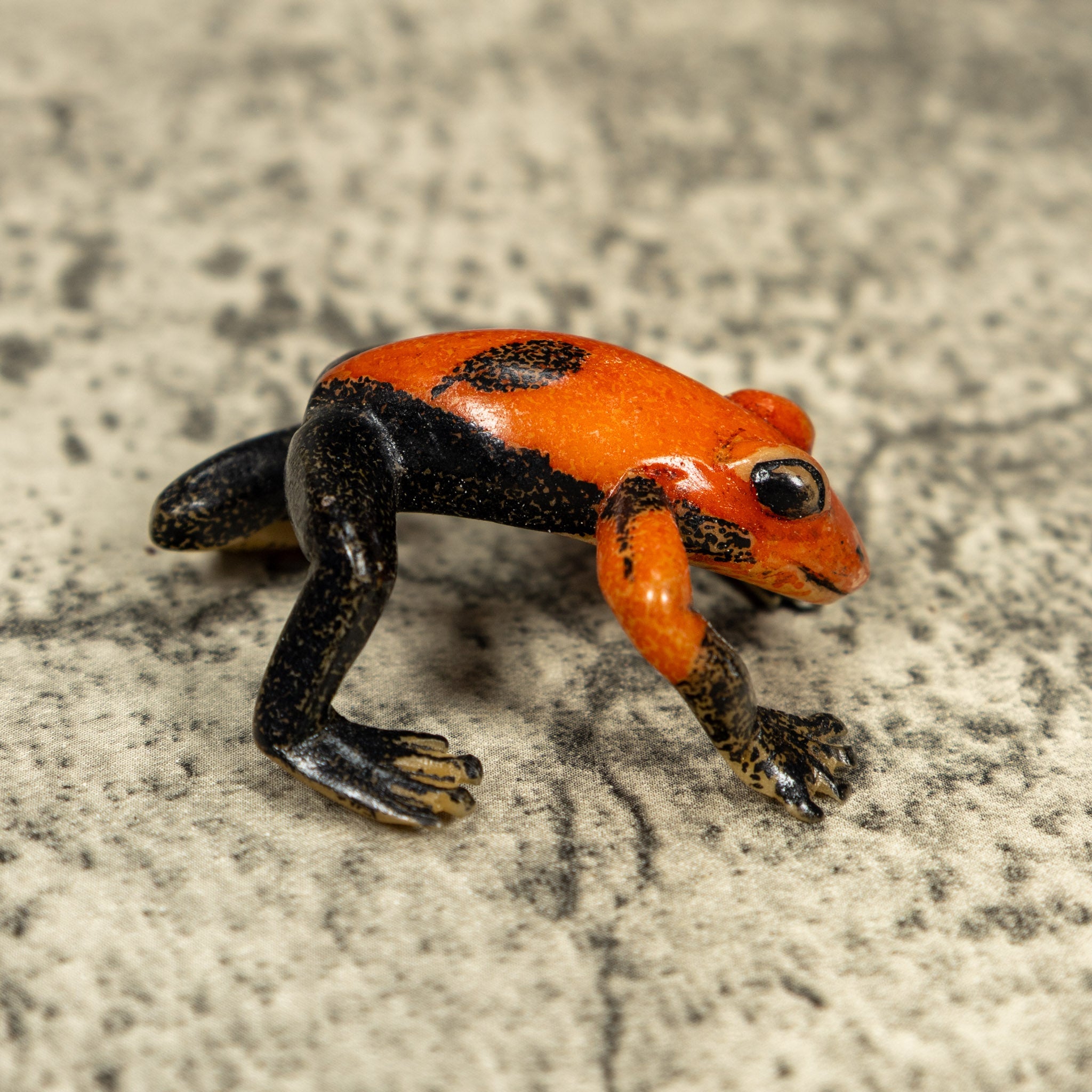 Free Standing Black And Orange Frog Tagua Carving