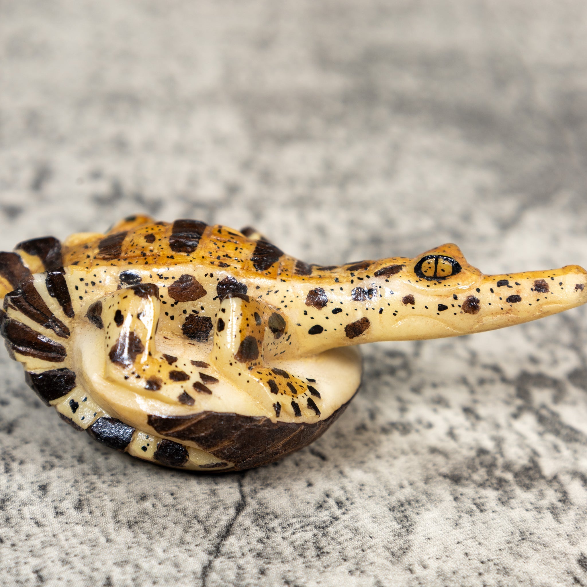 Gorgeous Alligator Crocodile Caiman Tagua Carving