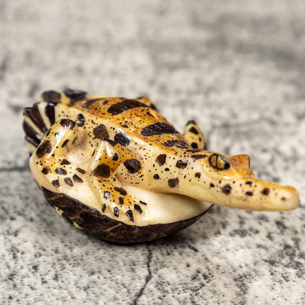 Gorgeous Alligator Crocodile Caiman Tagua Carving