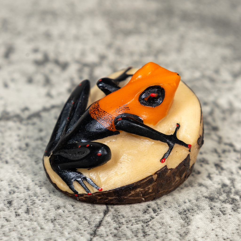 Black And Orange Poison Dart Frog Tagua Carving