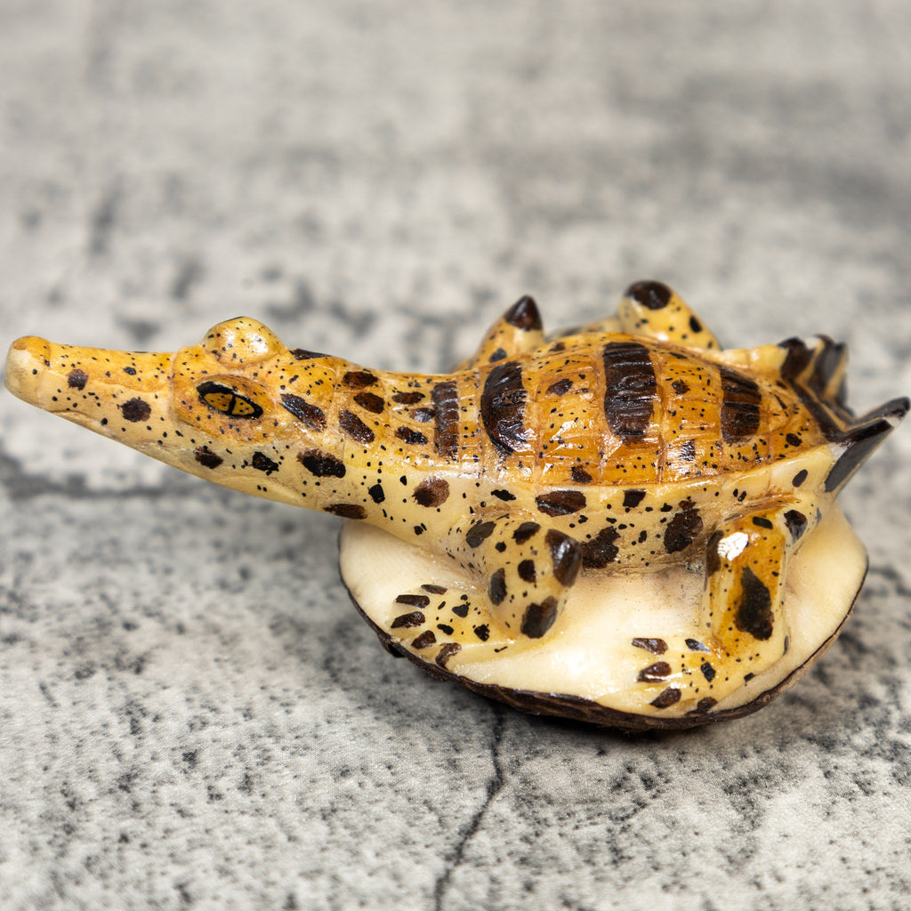 Gorgeous Alligator Crocodile Caiman Tagua Carving