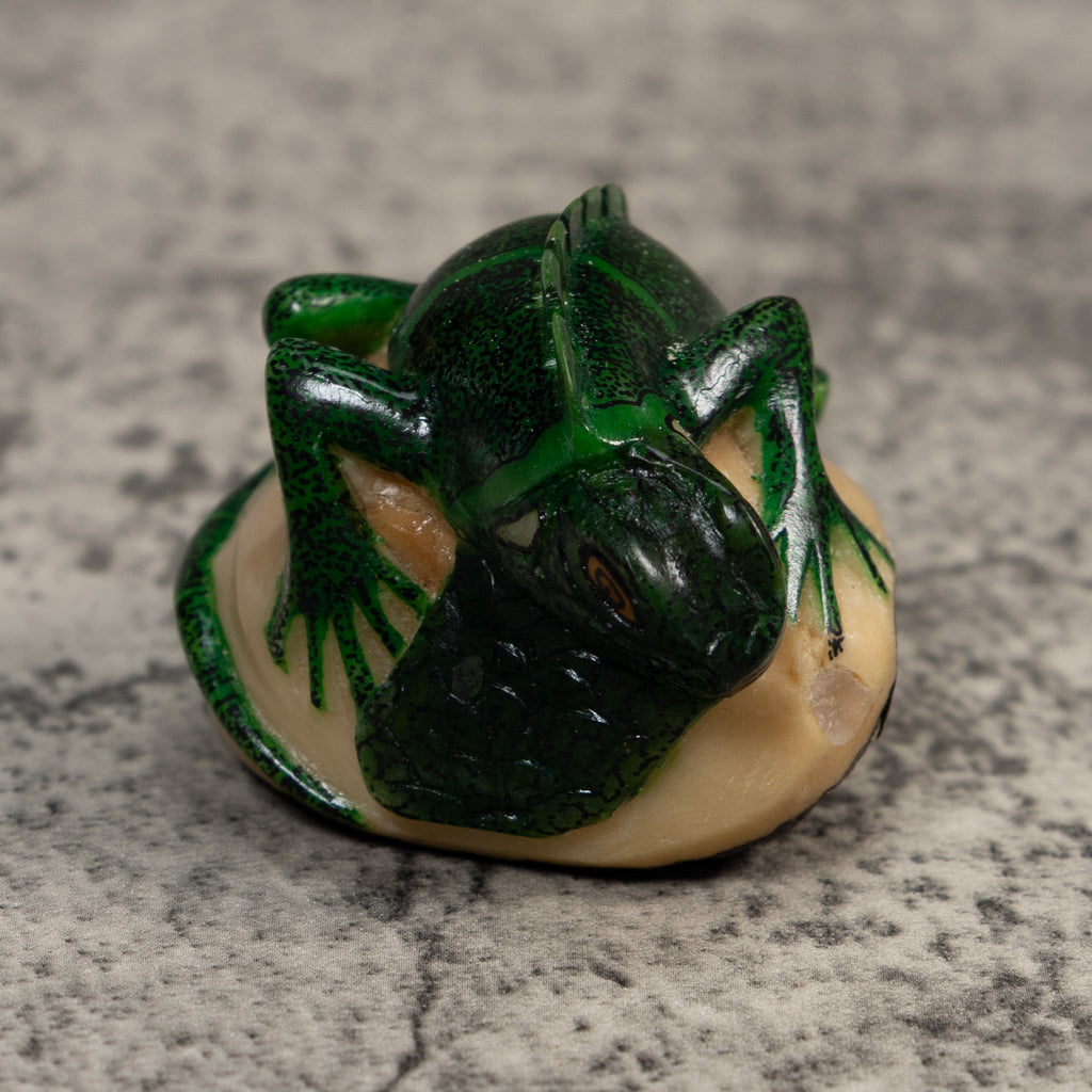Green Iguana Lizard Iguana Tagua Carving