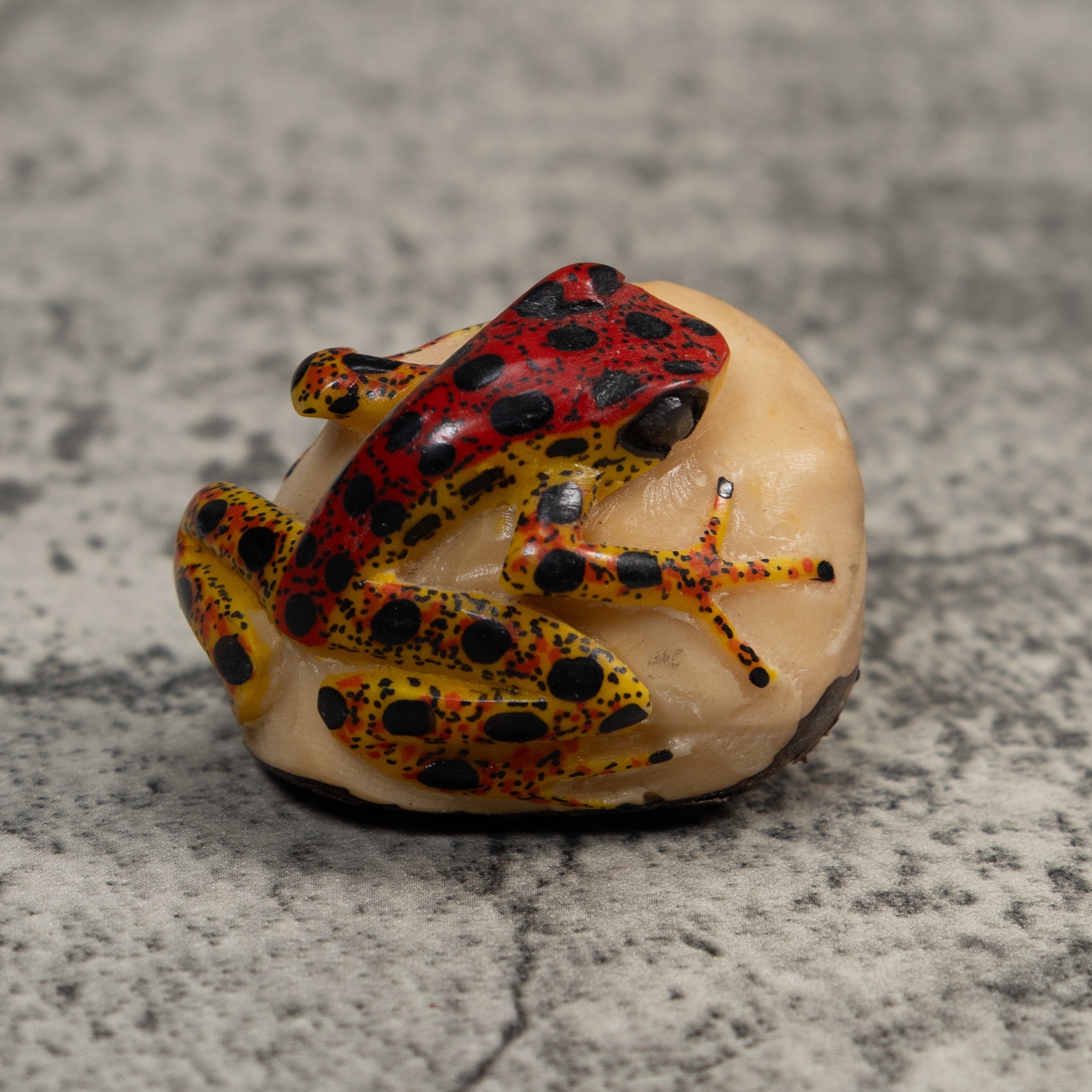 Vintage Red Gold And Black Poison Dart Frog Tagua Carving
